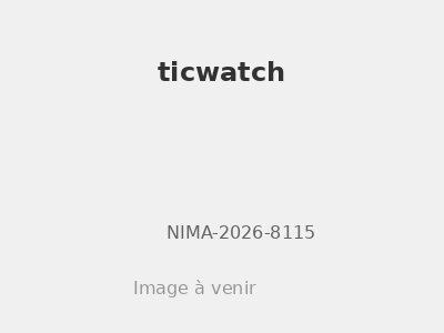 ticwatch 